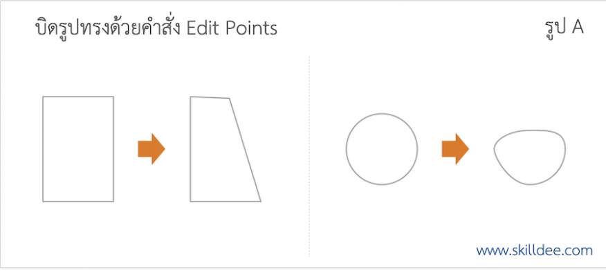 Tips & Tricks: บิดรูปทรงด้วย Edit Points – Skill ดี